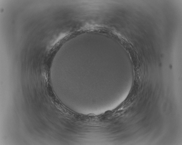 X0000079321206200612151808