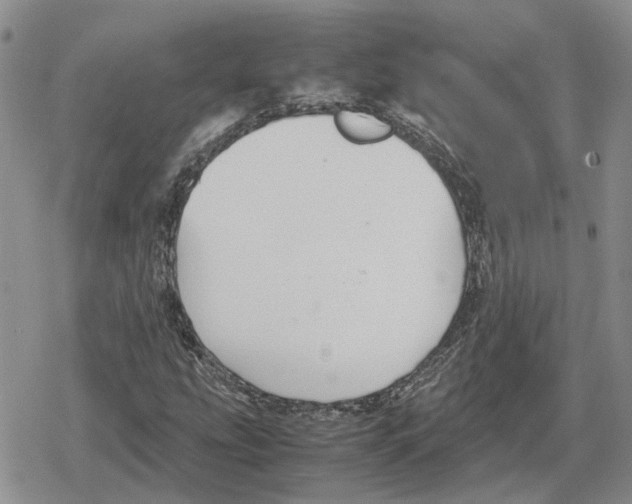 X0000079321207200612151808