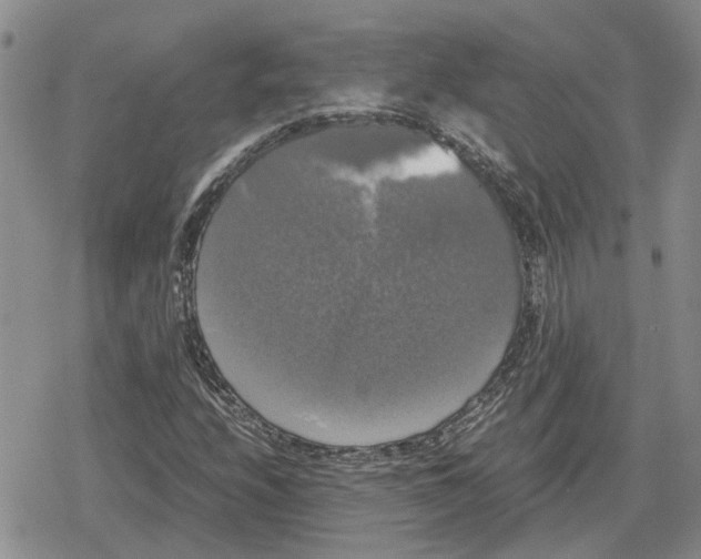 X0000079321208200612151809