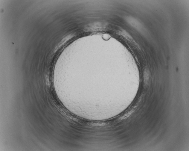 X0000079321209200612151809