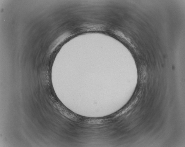 X0000079321211200612151809