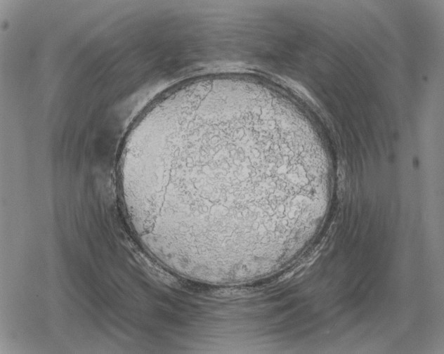 X0000079321212200612151809