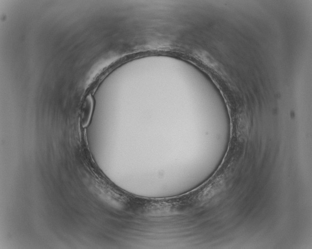 X0000079321214200612151809