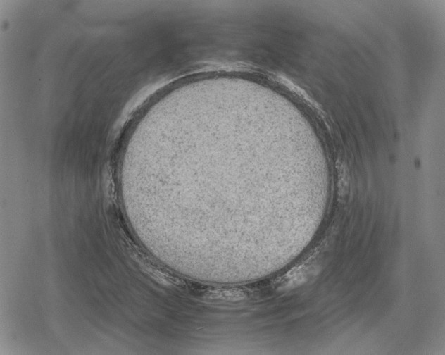 X0000079321215200612151809