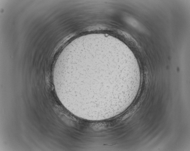 X0000079321217200612151809