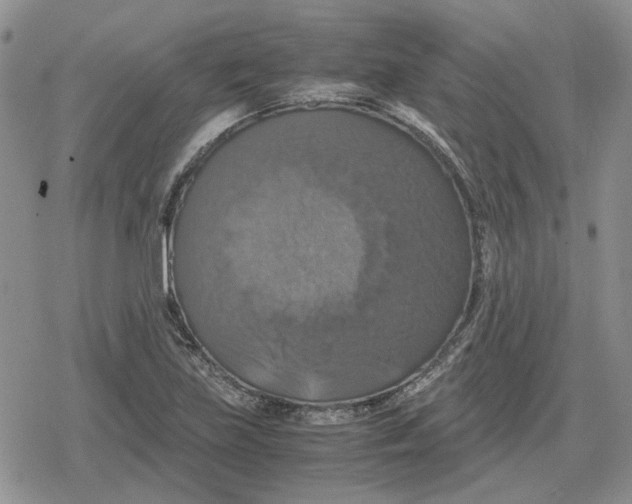 X0000079321219200612151809