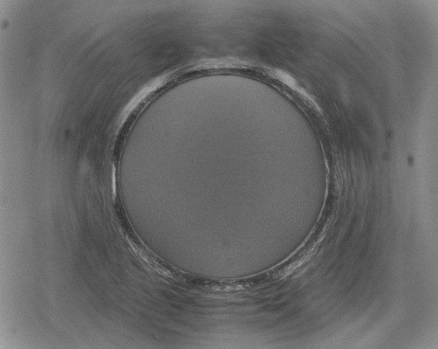 X0000079321221200612151809