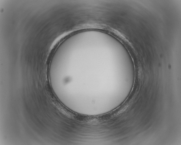 X0000079321222200612151809