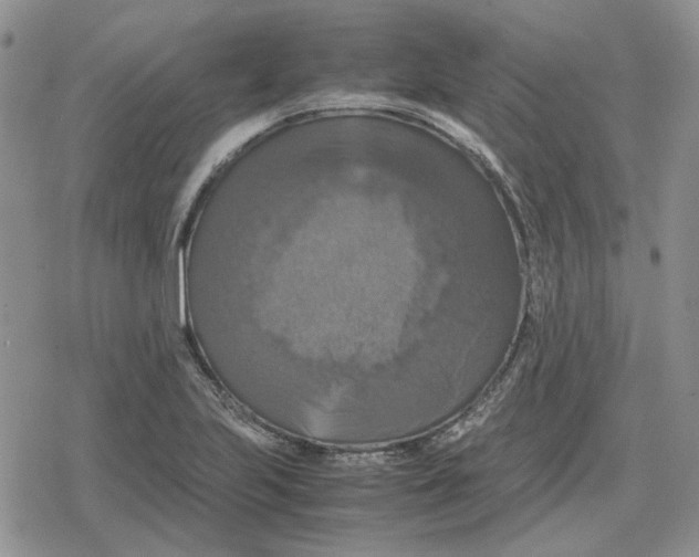 X0000079321223200612151809