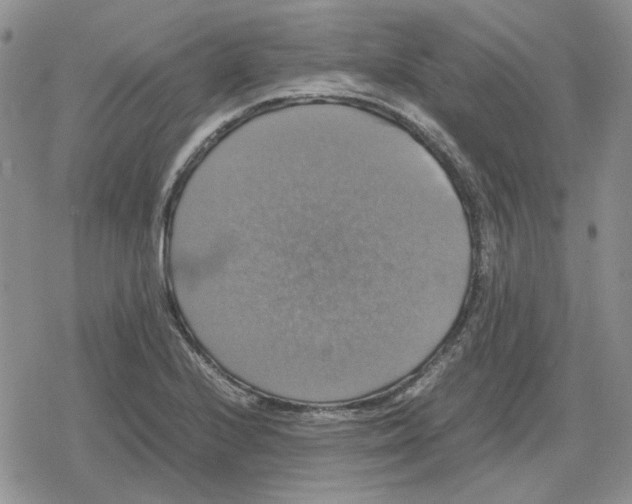 X0000079321224200612151809