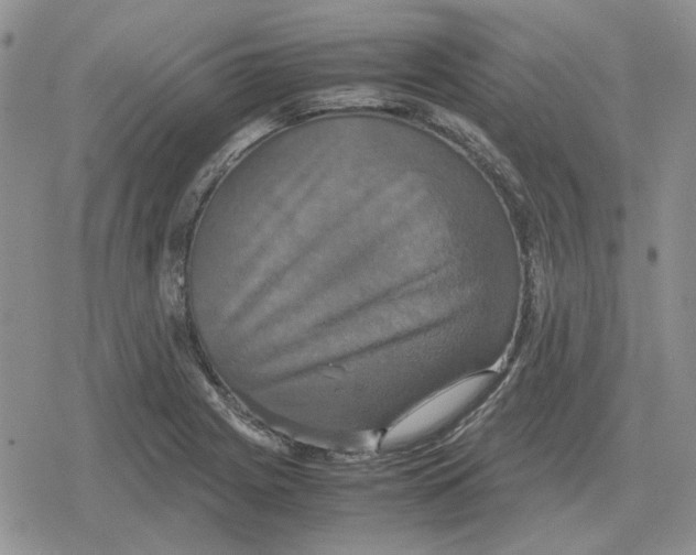 X0000079321225200612151809