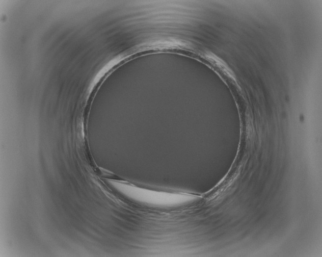 X0000079321226200612151809