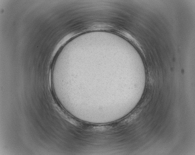 X0000079321227200612151809