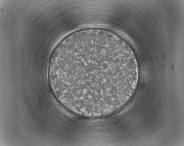 X0000079321228200612151809