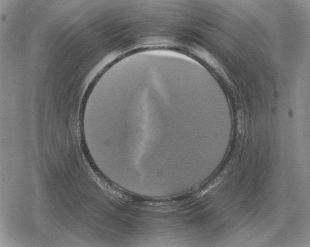 X0000079321229200612151809