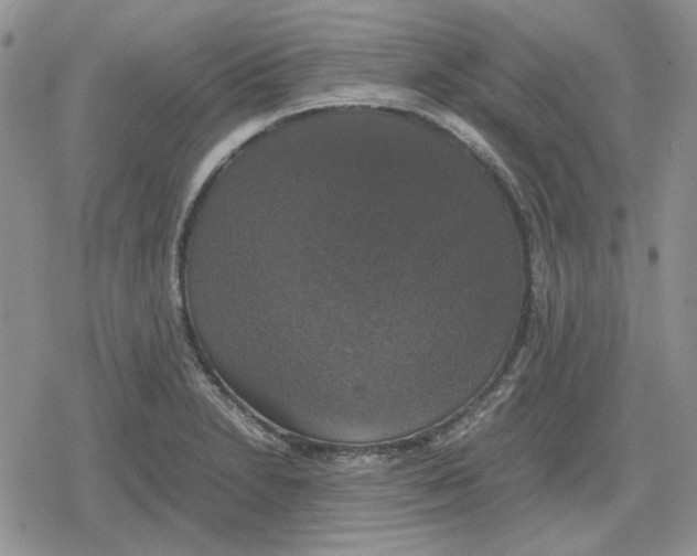 X0000079321230200612151809