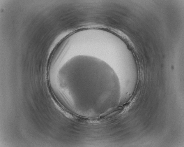 X0000079321231200612151809