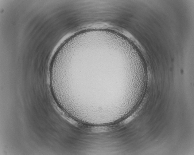 X0000079321232200612151809