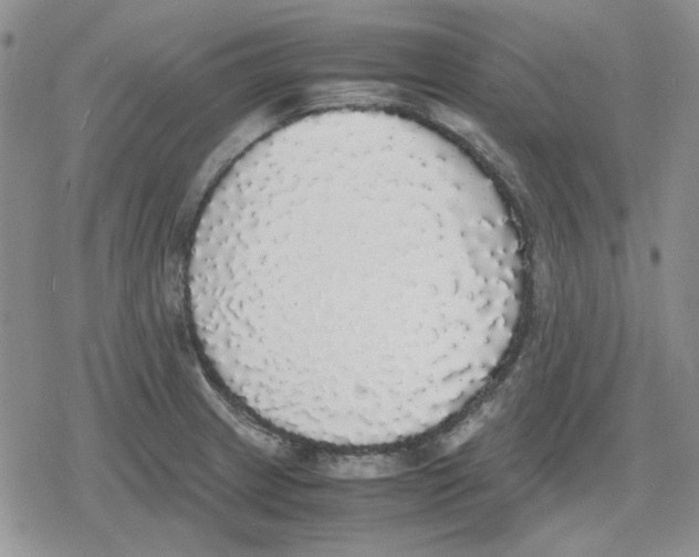 X0000079321233200612151809