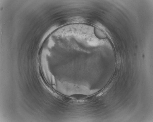 X0000079321235200612151809