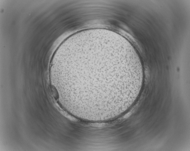 X0000079321236200612151809