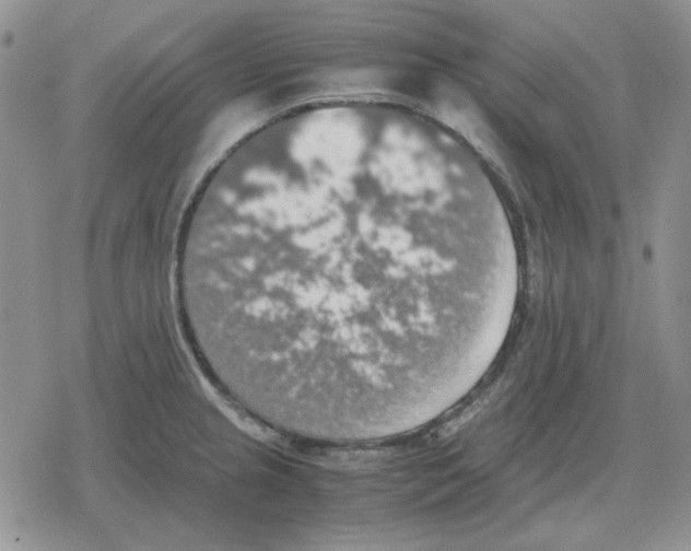 X0000079321237200612151809