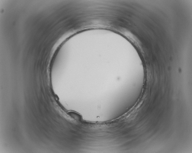 X0000079321238200612151809