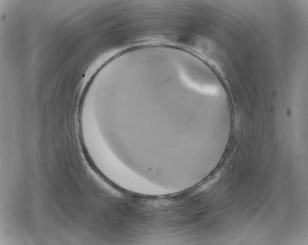 X0000079321239200612151809