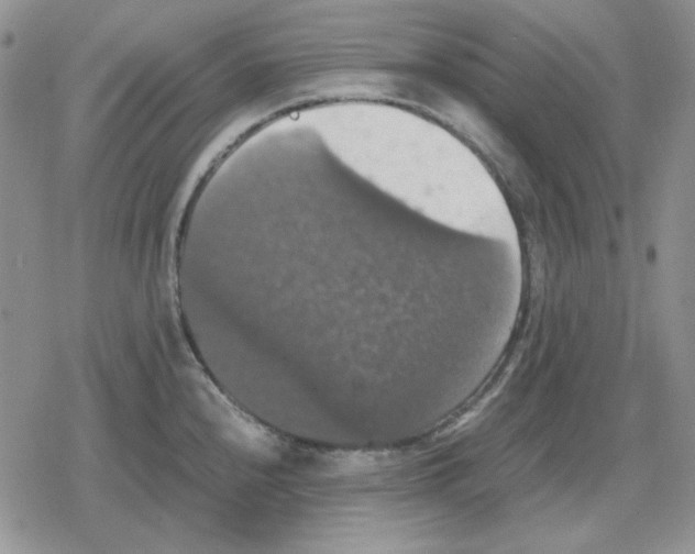 X0000079321240200612151809