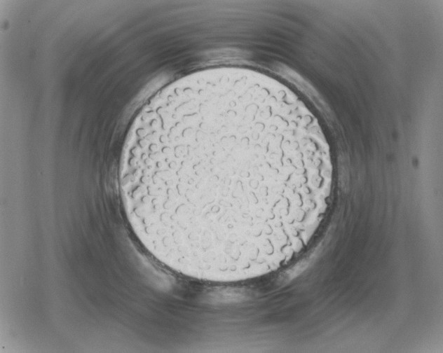 X0000079321241200612151809