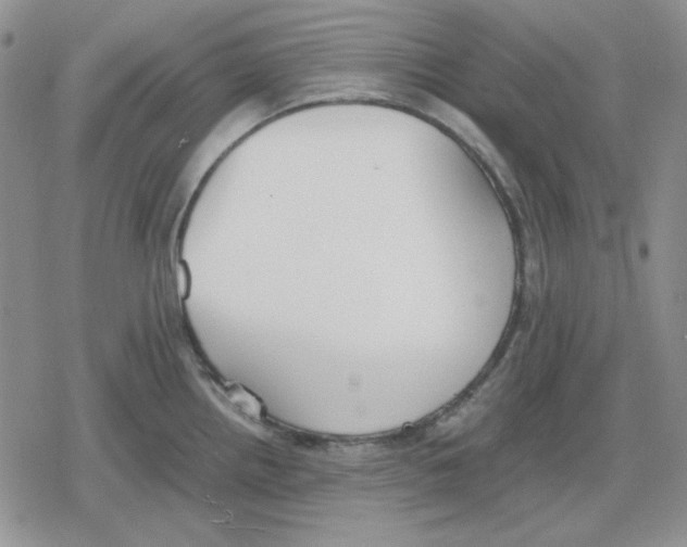 X0000079321242200612151809