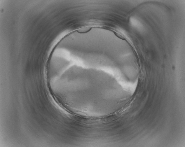 X0000079321243200612151809