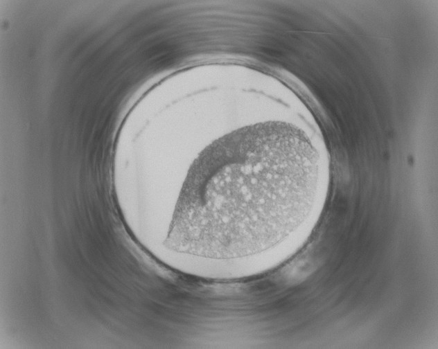 X0000079321244200612151809