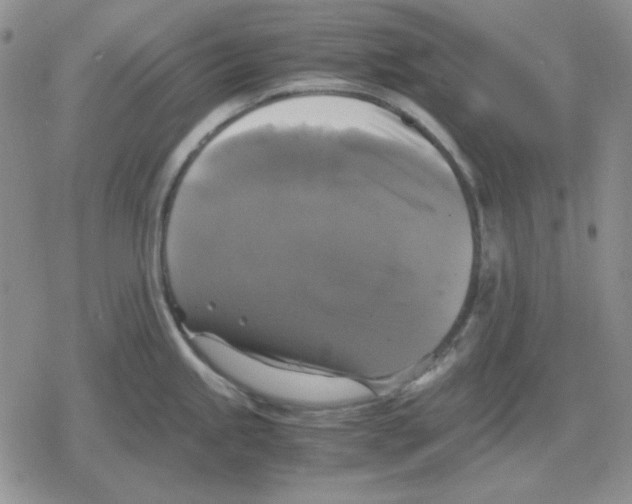 X0000079321245200612151809