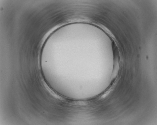 X0000079321246200612151809