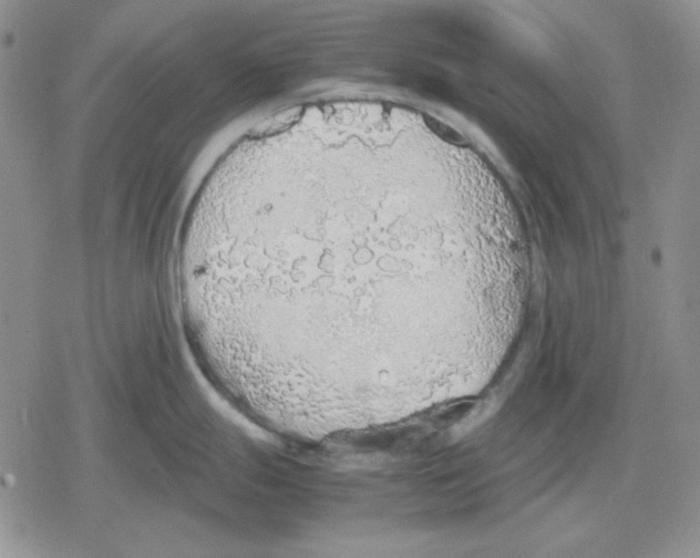 X0000079321247200612151809