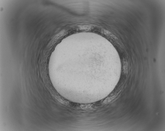 X0000079321249200612151808