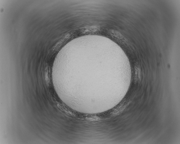 X0000079321250200612151808