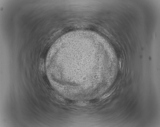 X0000079321251200612151808