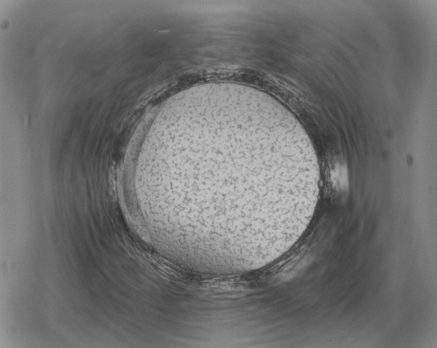 X0000079321252200612151808