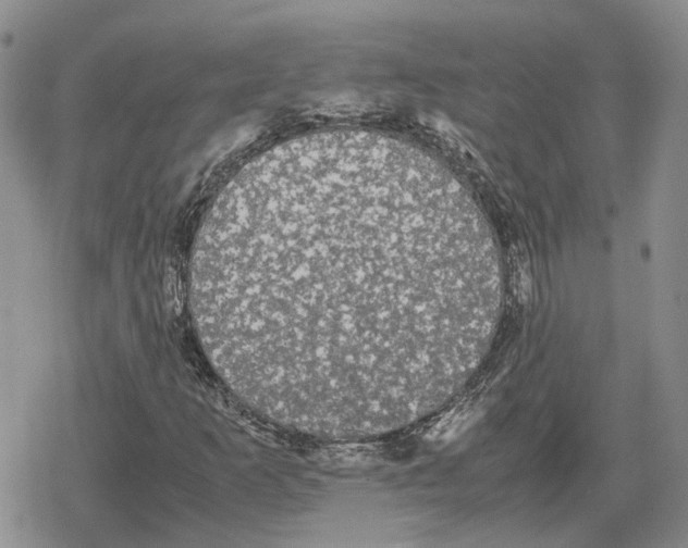 X0000079321253200612151808