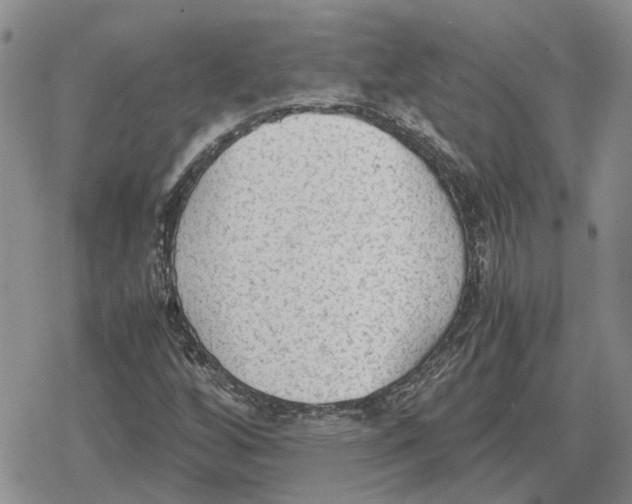 X0000079321256200612151808