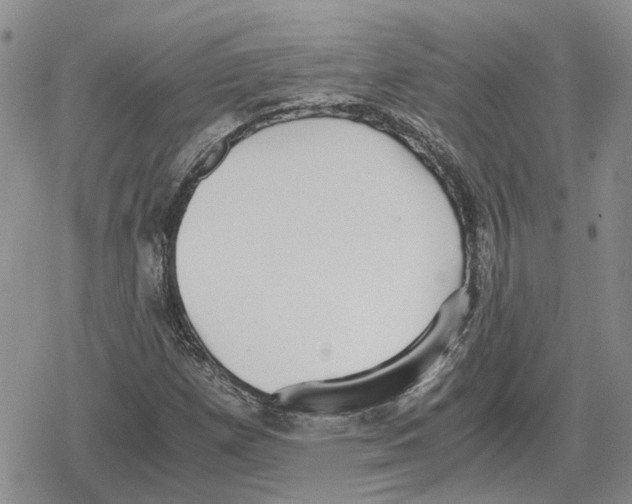 X0000079321257200612151808