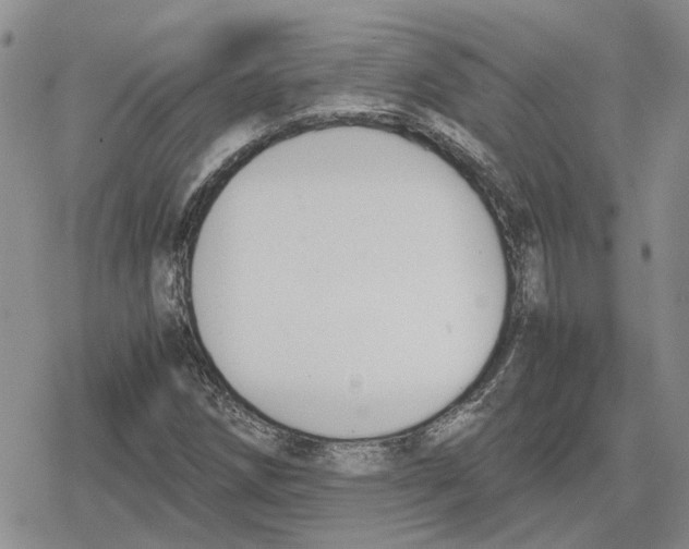 X0000079321258200612151808