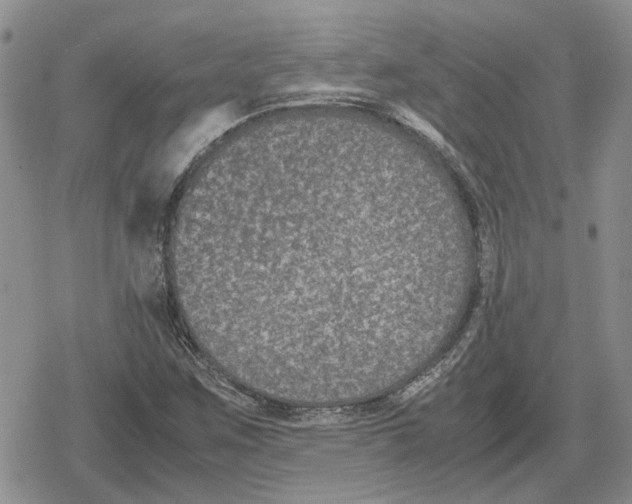 X0000079321259200612151808