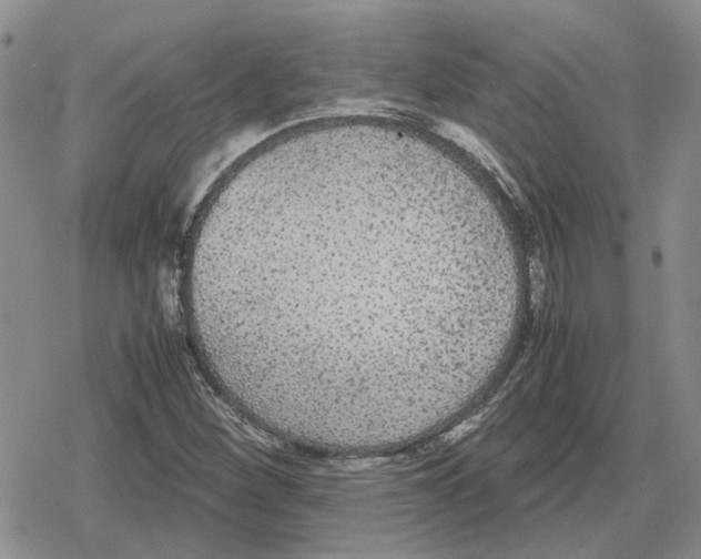 X0000079321260200612151808