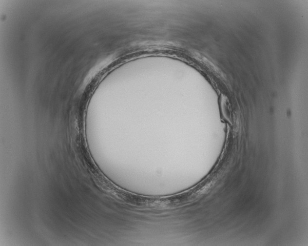 X0000079321261200612151808