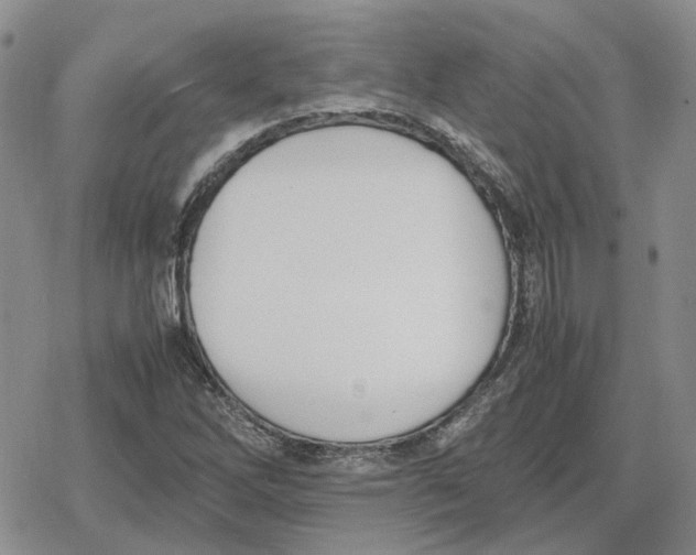 X0000079321262200612151808