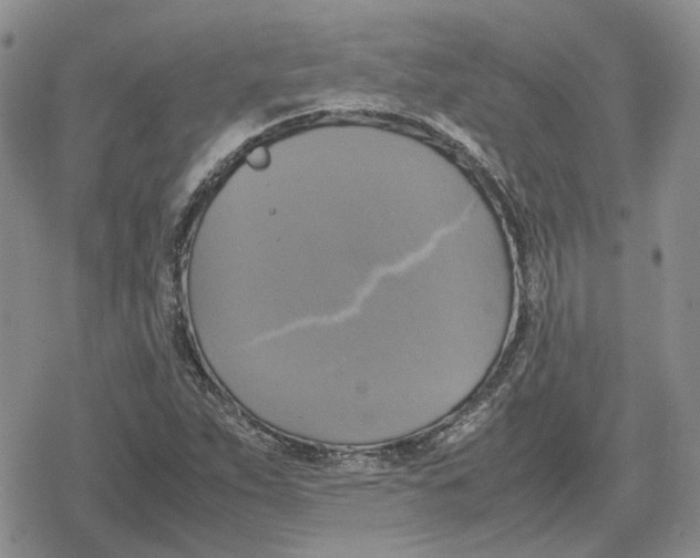 X0000079321263200612151808