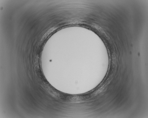 X0000079321265200612151808